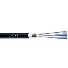 05cor0194_90d30223.png