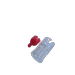 57RPR0042.png