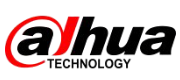 logo_dahua